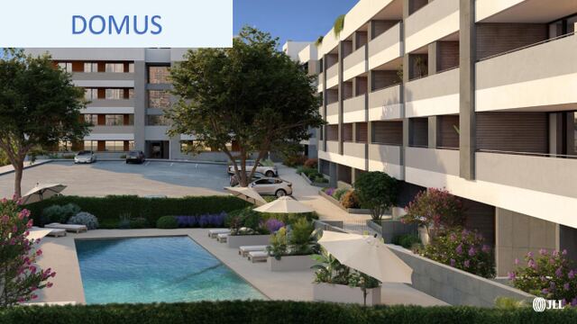 Domus