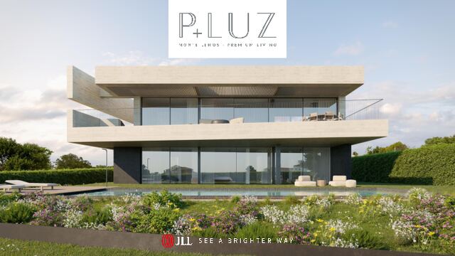 PLUZ